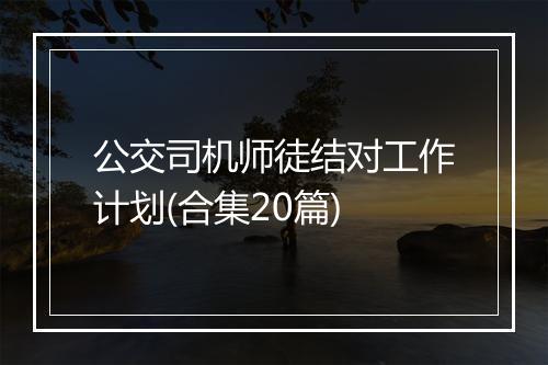 公交司机师徒结对工作计划(合集20篇)
