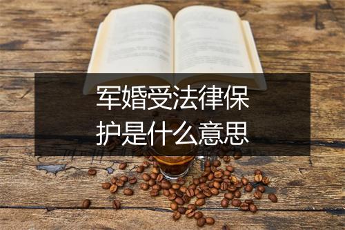 军婚受法律保护是什么意思