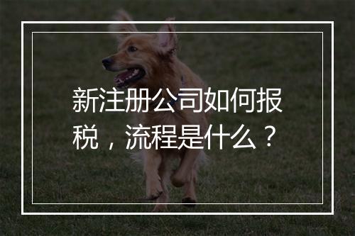 新注册公司如何报税，流程是什么？