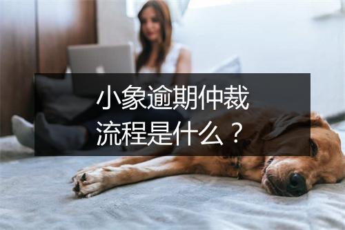 小象逾期仲裁流程是什么？