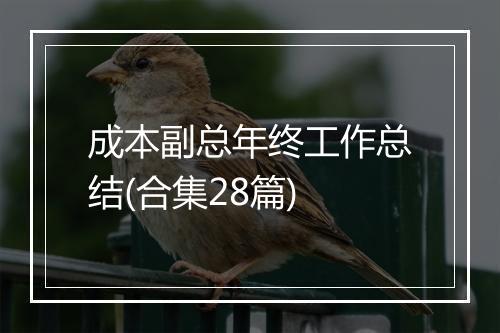 成本副总年终工作总结(合集28篇)