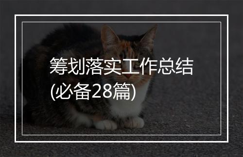 筹划落实工作总结(必备28篇)