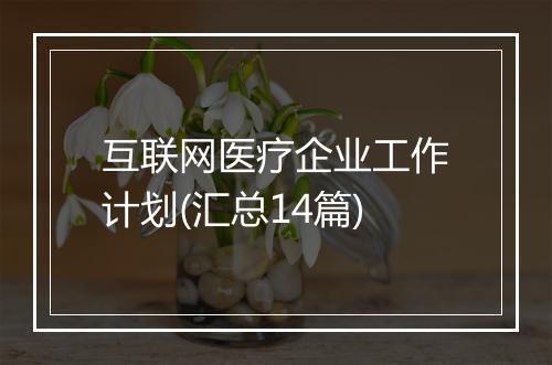 互联网医疗企业工作计划(汇总14篇)