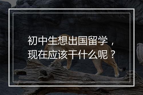 初中生想出国留学，现在应该干什么呢？