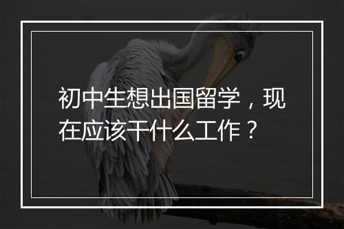 初中生想出国留学，现在应该干什么工作？