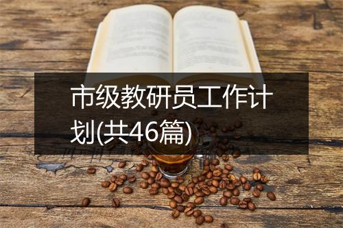 市级教研员工作计划(共46篇)