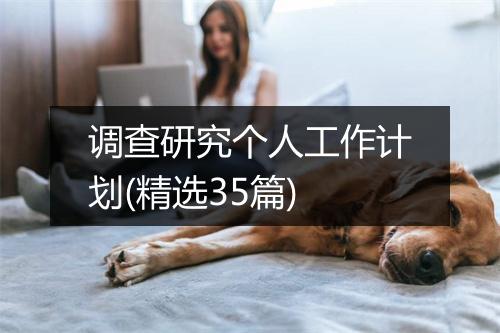 调查研究个人工作计划(精选35篇)