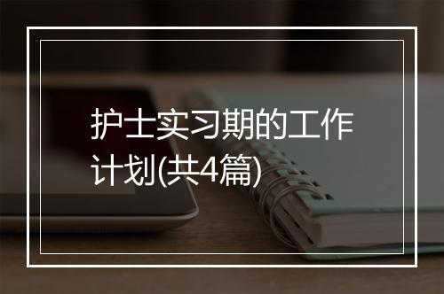 护士实习期的工作计划(共4篇)