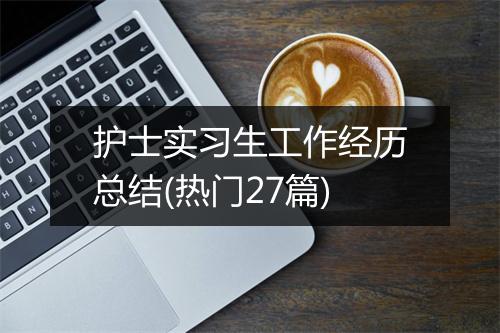 护士实习生工作经历总结(热门27篇)