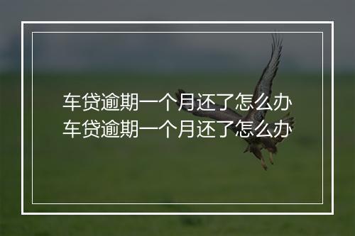 车贷逾期一个月还了怎么办车贷逾期一个月还了怎么办