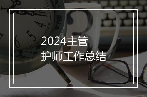 2024主管护师工作总结