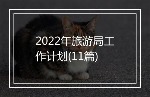 2022年旅游局工作计划(11篇)