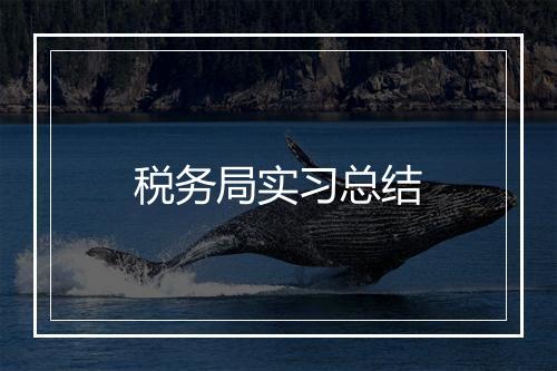 税务局实习总结