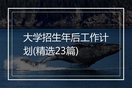 大学招生年后工作计划(精选23篇)