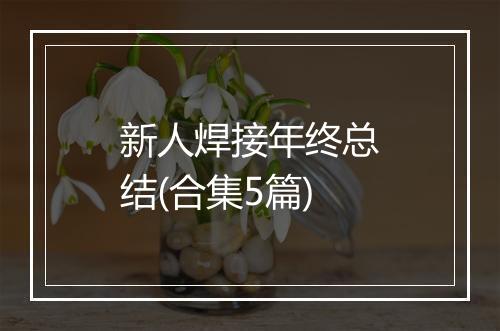 新人焊接年终总结(合集5篇)