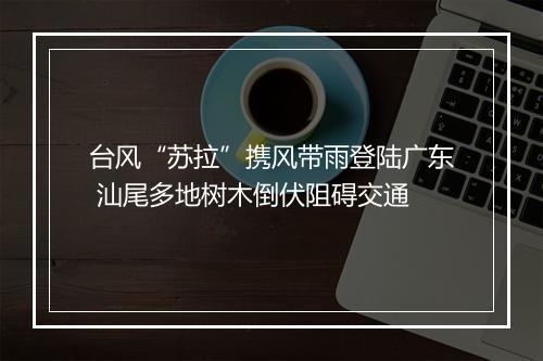 台风“苏拉”携风带雨登陆广东 汕尾多地树木倒伏阻碍交通