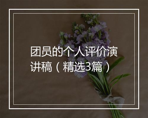 团员的个人评价演讲稿（精选3篇）