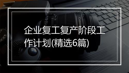 企业复工复产阶段工作计划(精选6篇)