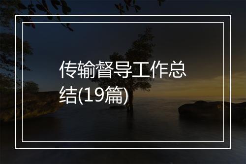 传输督导工作总结(19篇)