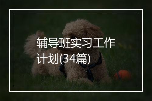 辅导班实习工作计划(34篇)