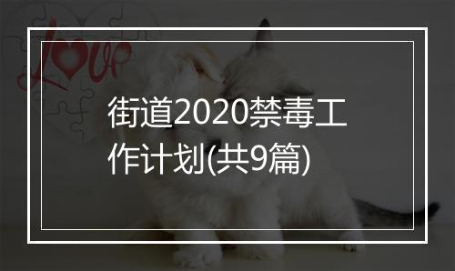 街道2020禁毒工作计划(共9篇)