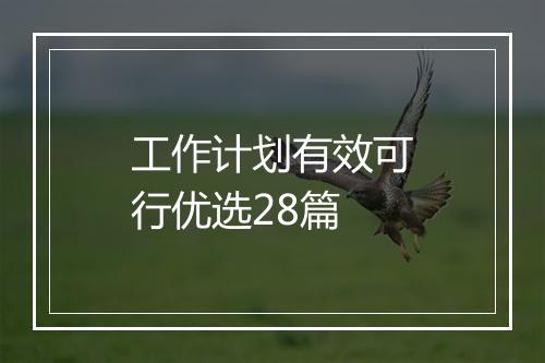 工作计划有效可行优选28篇
