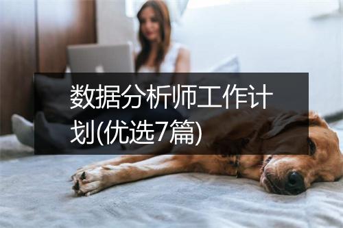 数据分析师工作计划(优选7篇)