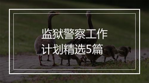 监狱警察工作计划精选5篇
