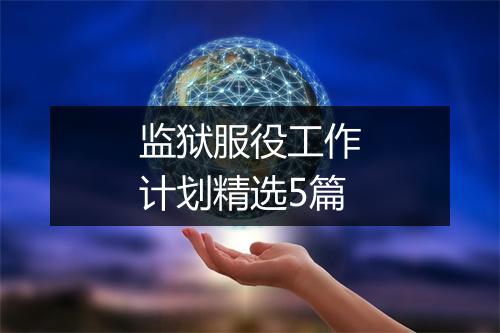 监狱服役工作计划精选5篇