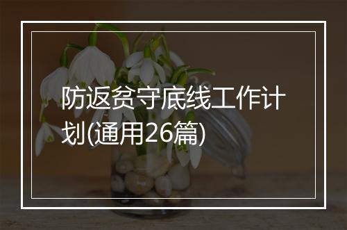 防返贫守底线工作计划(通用26篇)