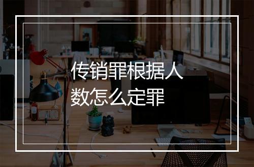 传销罪根据人数怎么定罪