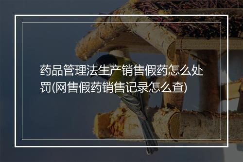 药品管理法生产销售假药怎么处罚(网售假药销售记录怎么查)