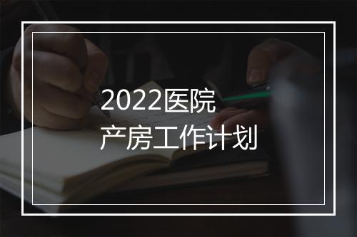 2022医院产房工作计划