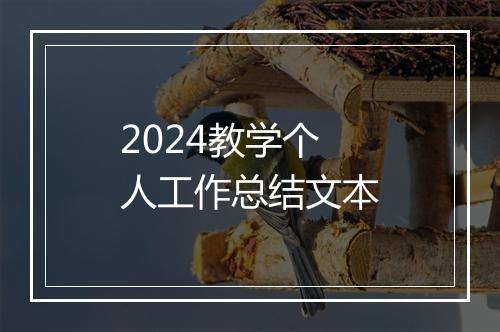 2024教学个人工作总结文本