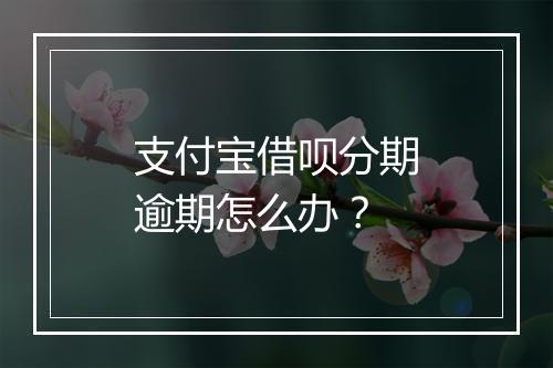 支付宝借呗分期逾期怎么办？