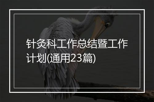 针灸科工作总结暨工作计划(通用23篇)