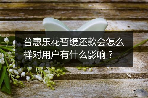 普惠乐花暂缓还款会怎么样对用户有什么影响？