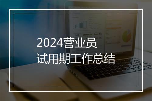 2024营业员试用期工作总结