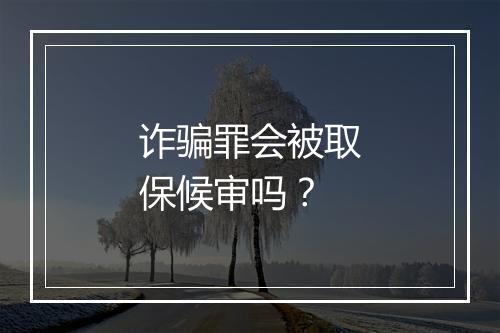 诈骗罪会被取保候审吗？