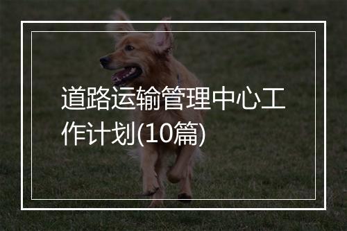 道路运输管理中心工作计划(10篇)