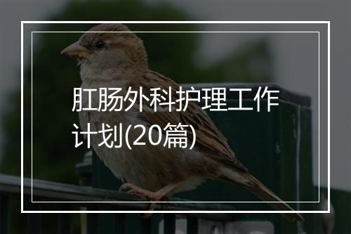肛肠外科护理工作计划(20篇)