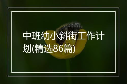 中班幼小斜街工作计划(精选86篇)