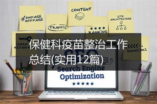 保健科疫苗整治工作总结(实用12篇)