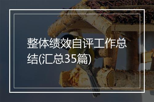 整体绩效自评工作总结(汇总35篇)