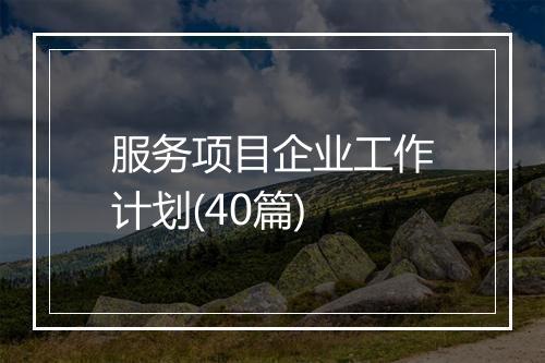 服务项目企业工作计划(40篇)