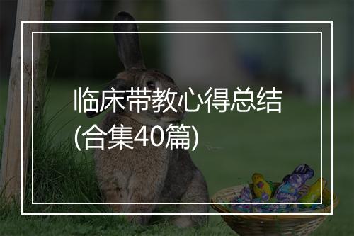 临床带教心得总结(合集40篇)