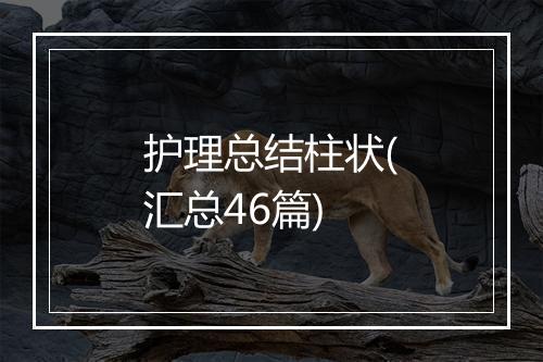 护理总结柱状(汇总46篇)