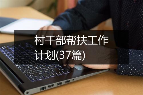 村干部帮扶工作计划(37篇)
