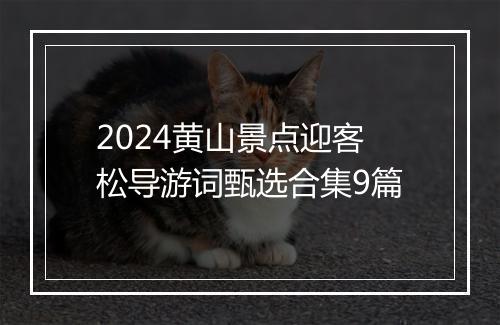 2024黄山景点迎客松导游词甄选合集9篇