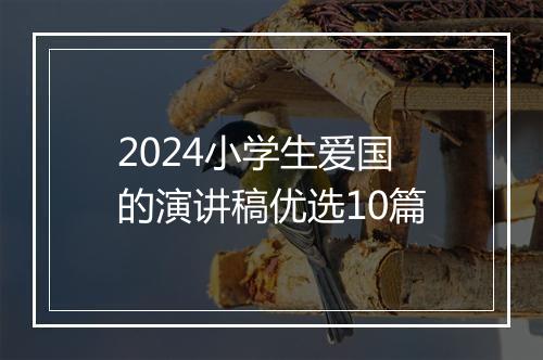 2024小学生爱国的演讲稿优选10篇